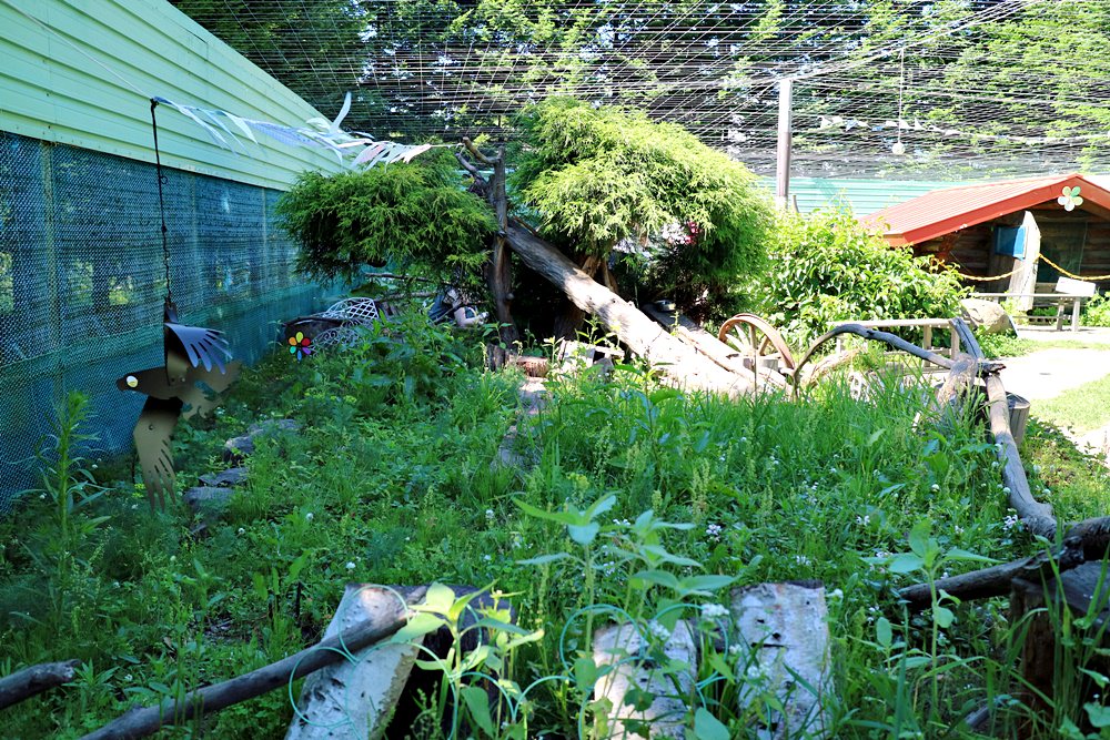 北海道網走景點之鄂霍次克花栗鼠公園 來當被花栗鼠包圍的白雪公主