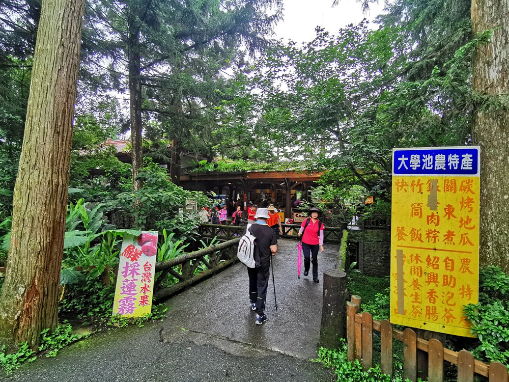 溪頭自然教育園區 被綠意簇擁的山中秘境 滿滿芬多精好值得住一晚！