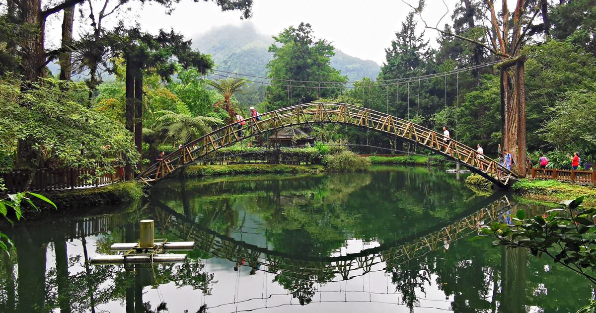 溪頭自然教育園區 被綠意簇擁的山中秘境 滿滿芬多精好值得住一晚！