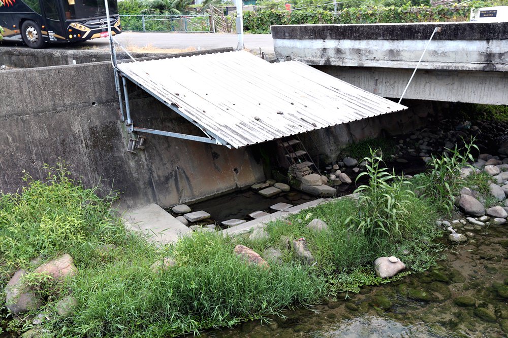 苗栗公館一日遊 大推油礦陳列館 去田裡拔芋頭的手感好療癒 還有超好買公館農會必逛