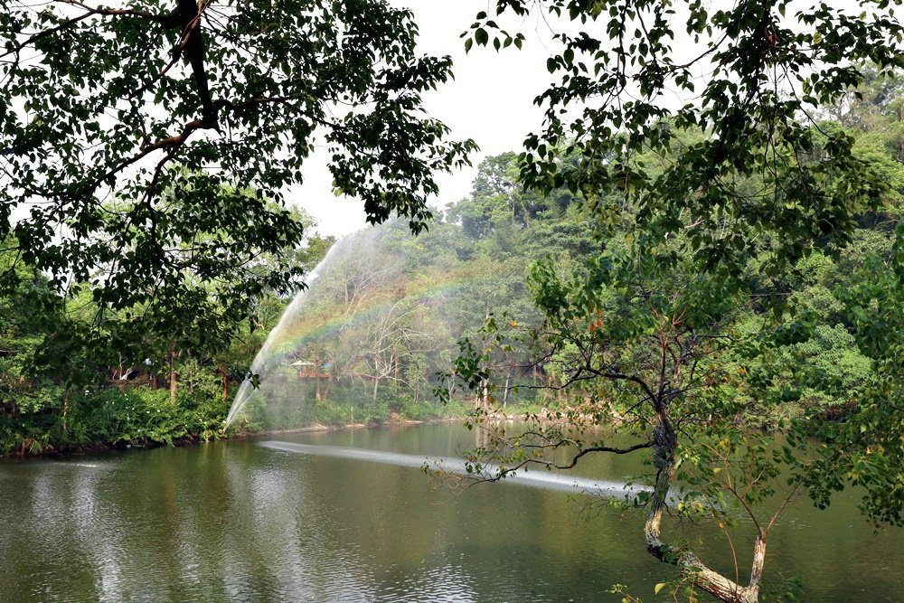 苗栗大湖民宿 湖畔花時間溫泉會館 行到水窮處 坐看雲起時