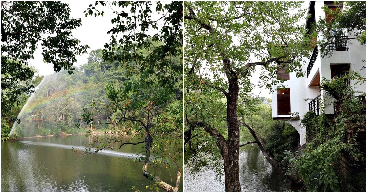 苗栗大湖民宿 湖畔花時間溫泉會館 行到水窮處 坐看雲起時