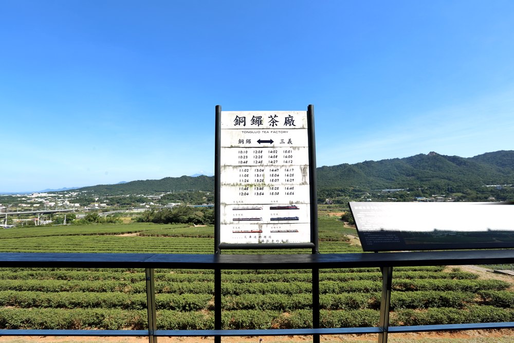 苗栗銅鑼一日遊 11月杭菊節賞秋雪 九湖莊吃杭菊餐 順遊銅鑼茶廠