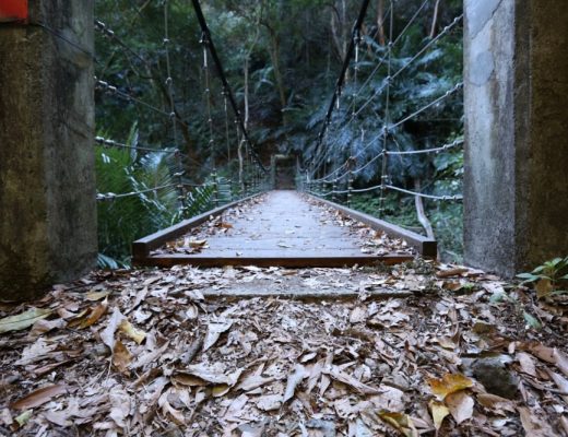 谷關景點 德芙蘭步道 被林蔭包圍的綠色步道 谷關必訪溫泉步道