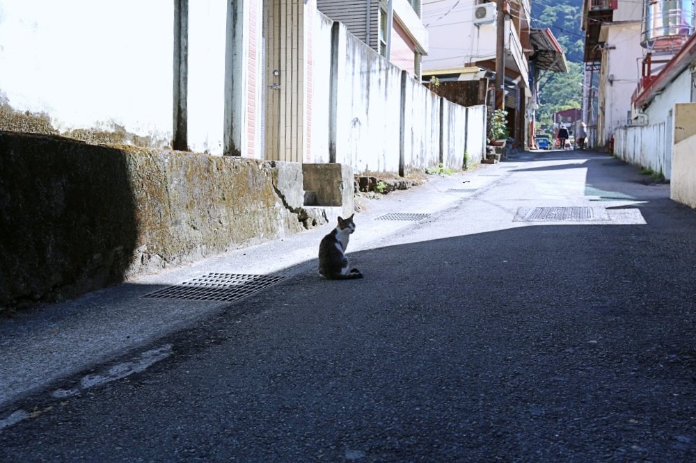 谷關景點 松鶴部落 拍百年檜木板屋、八仙山森林鐵路久良栖站 泰雅族手作產品好好買