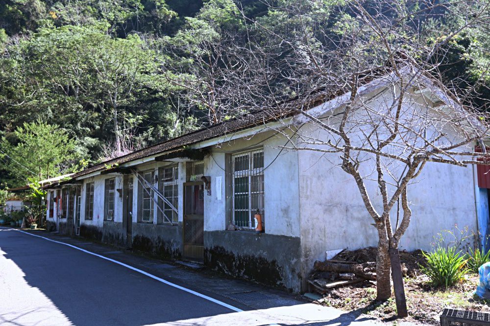 谷關景點 松鶴部落 拍百年檜木板屋、八仙山森林鐵路久良栖站 泰雅族手作產品好好買