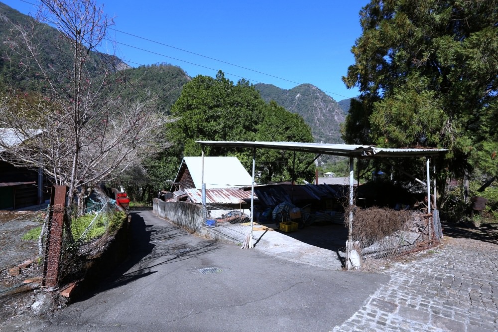 谷關景點 松鶴部落 拍百年檜木板屋、八仙山森林鐵路久良栖站 泰雅族手作產品好好買