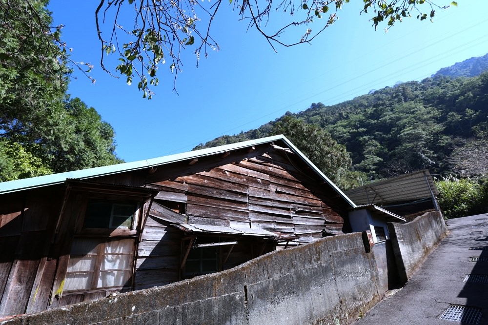 谷關景點 松鶴部落 拍百年檜木板屋、八仙山森林鐵路久良栖站 泰雅族手作產品好好買