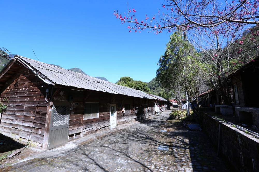 谷關景點 德芙蘭步道 被林蔭包圍的綠色步道 谷關必訪溫泉步道