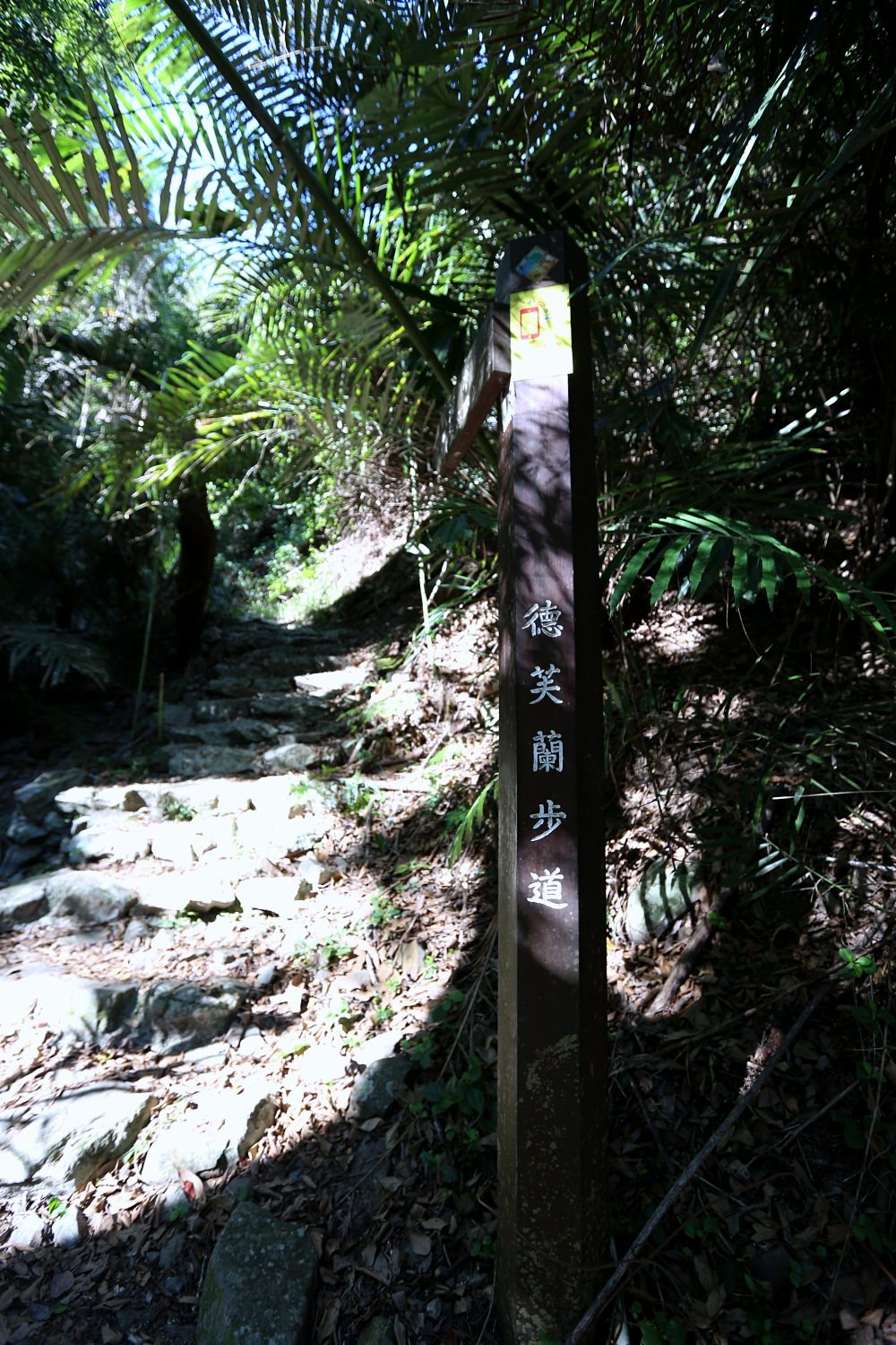 谷關景點 德芙蘭步道 被林蔭包圍的綠色步道 谷關必訪溫泉步道