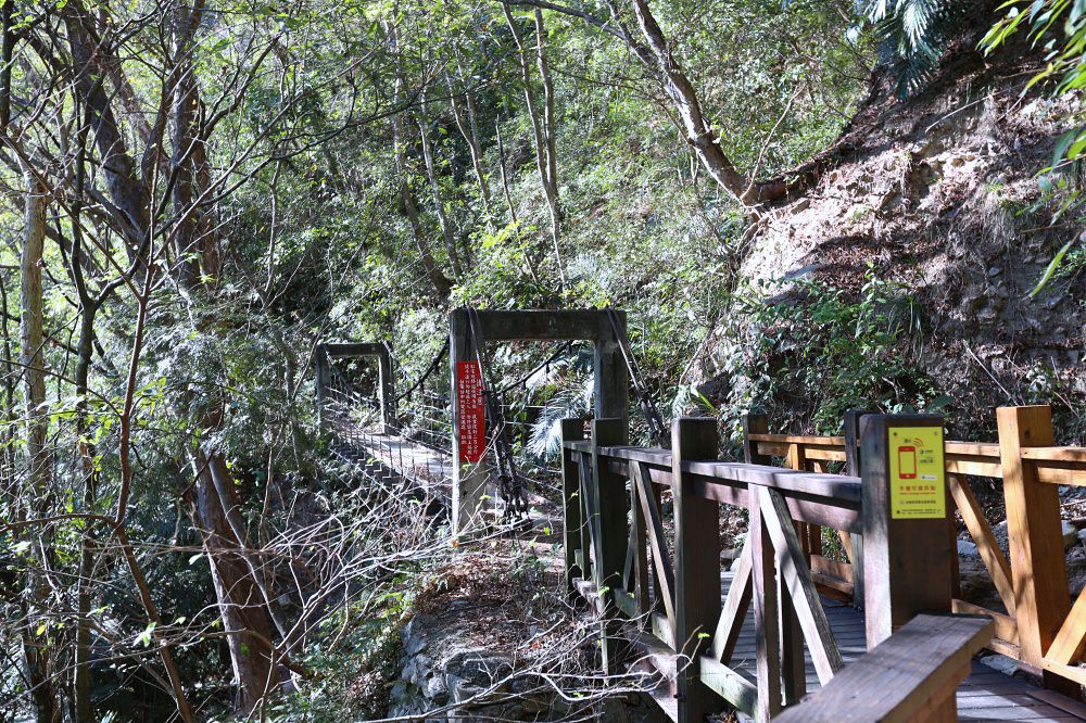 谷關景點 德芙蘭步道 被林蔭包圍的綠色步道 谷關必訪溫泉步道