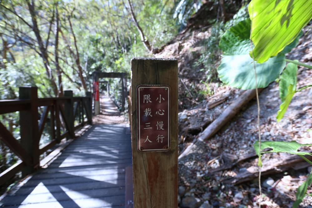 谷關景點 德芙蘭步道 被林蔭包圍的綠色步道 谷關必訪溫泉步道