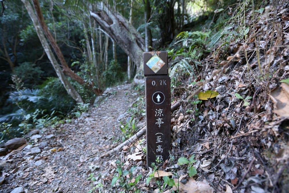 谷關景點 德芙蘭步道 被林蔭包圍的綠色步道 谷關必訪溫泉步道