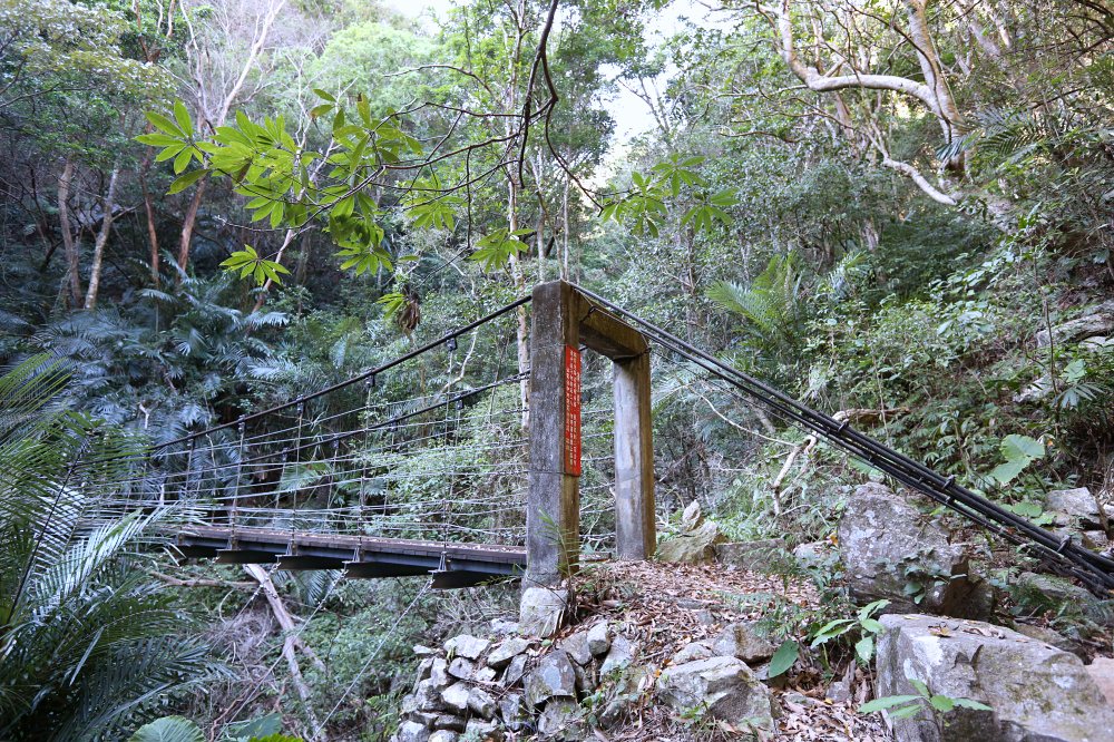 谷關景點 德芙蘭步道 被林蔭包圍的綠色步道 谷關必訪溫泉步道