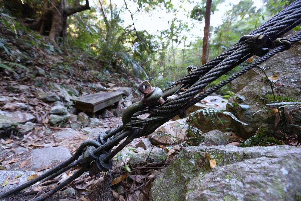 谷關景點 德芙蘭步道 被林蔭包圍的綠色步道 谷關必訪溫泉步道