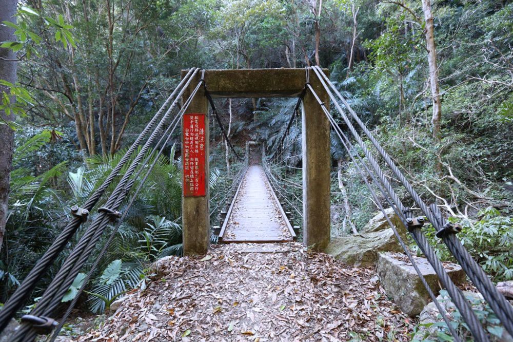 谷關景點 德芙蘭步道 被林蔭包圍的綠色步道 谷關必訪溫泉步道