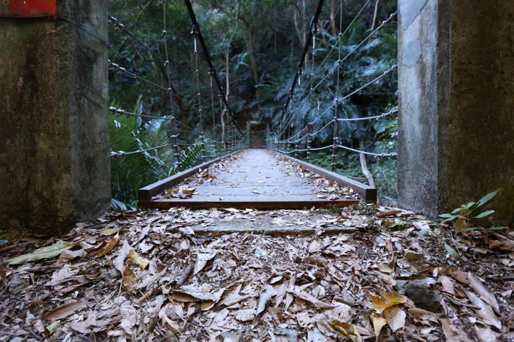 谷關景點 德芙蘭步道 被林蔭包圍的綠色步道 谷關必訪溫泉步道