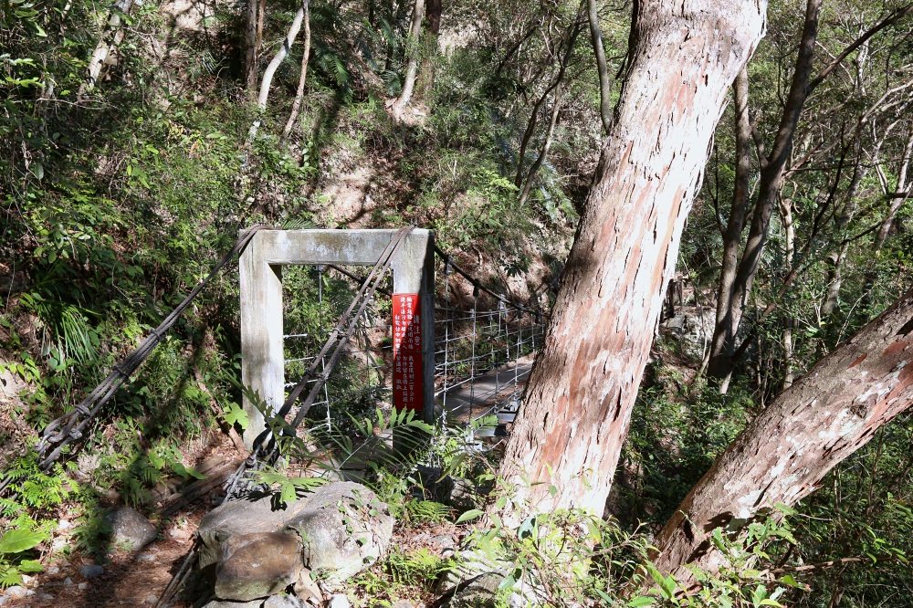 谷關景點 德芙蘭步道 被林蔭包圍的綠色步道 谷關必訪溫泉步道