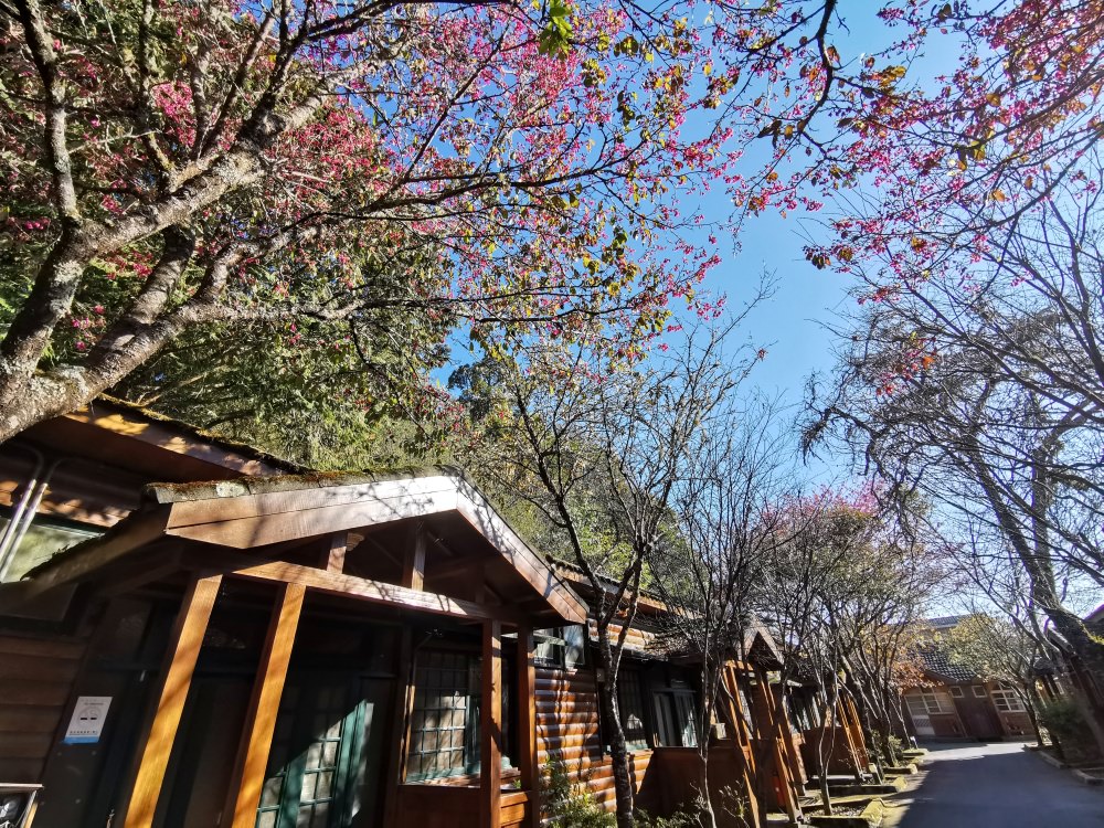 大雪山森林遊樂區 高山風景四季皆美 台中二日遊 住宿訂房+散步步道大解析