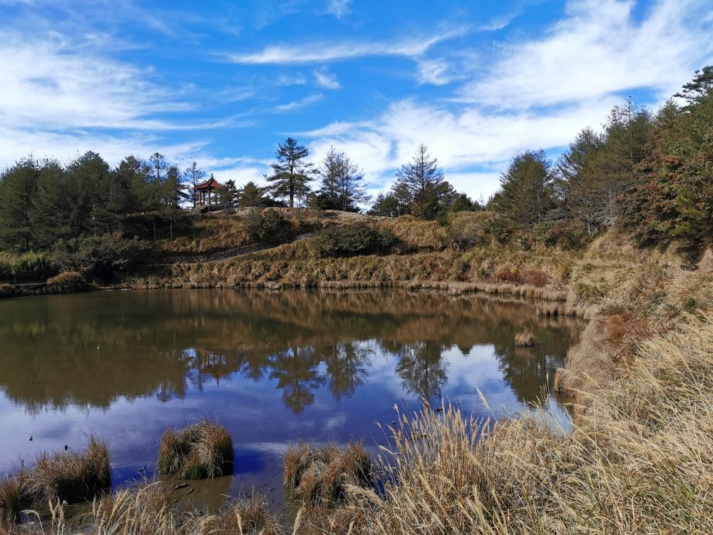 大雪山森林遊樂區 高山風景四季皆美 台中二日遊 住宿訂房+散步步道大解析