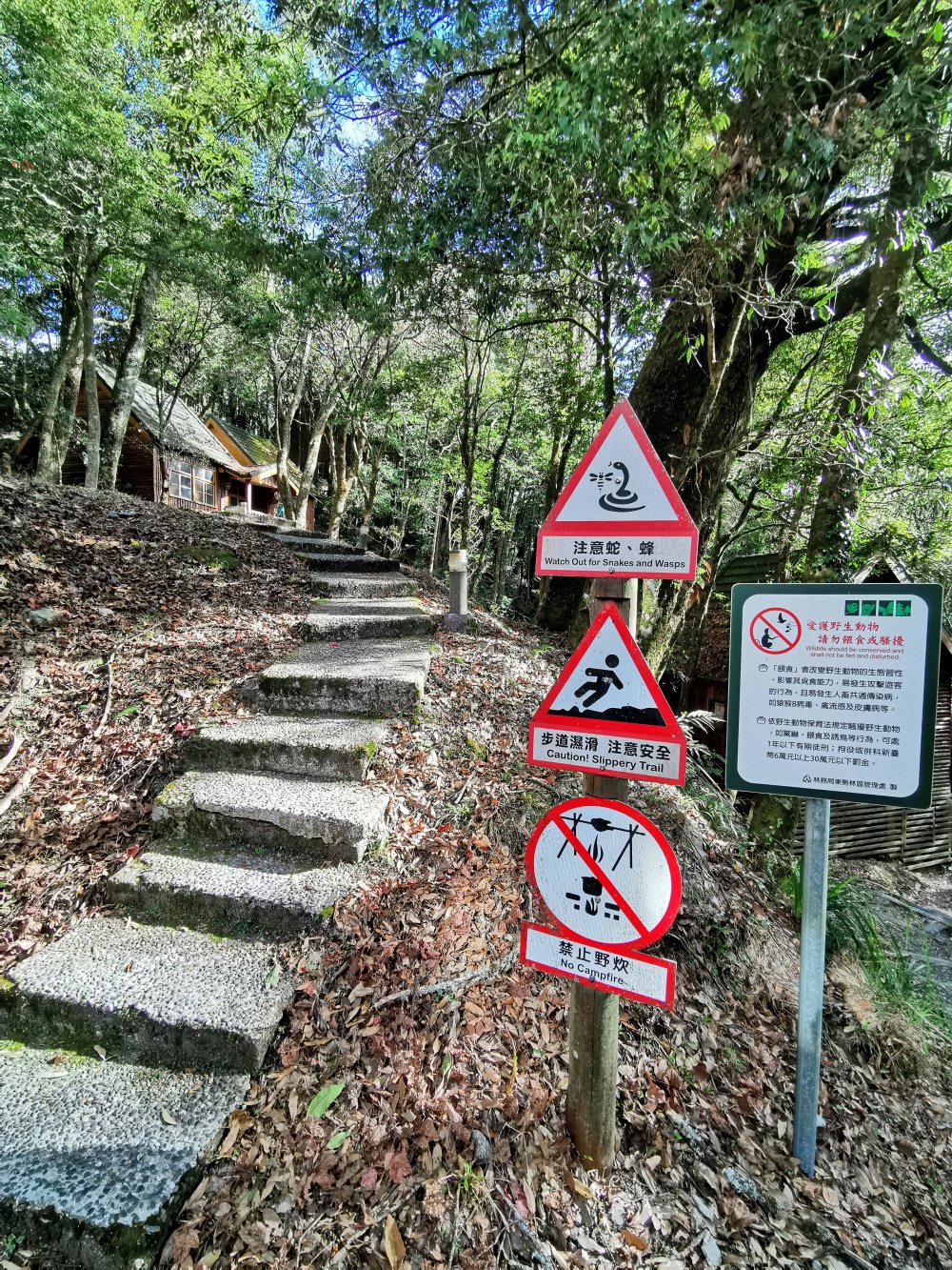 大雪山森林遊樂區 高山風景四季皆美 台中二日遊 住宿訂房+散步步道大解析