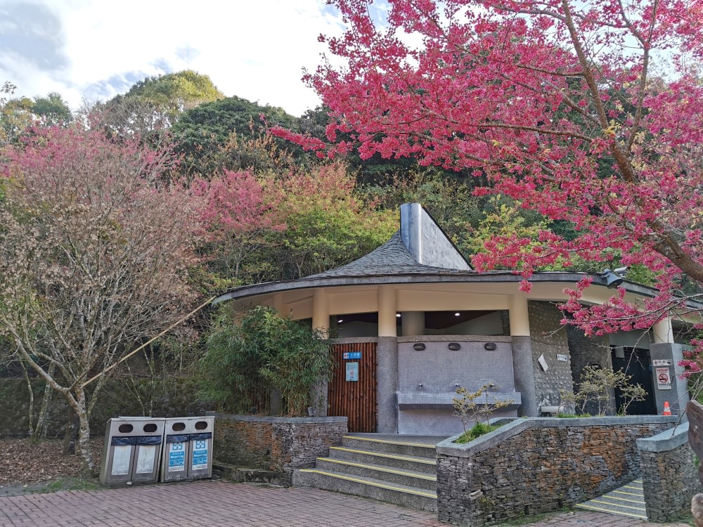 大雪山森林遊樂區 高山風景四季皆美 台中二日遊 住宿訂房+散步步道大解析