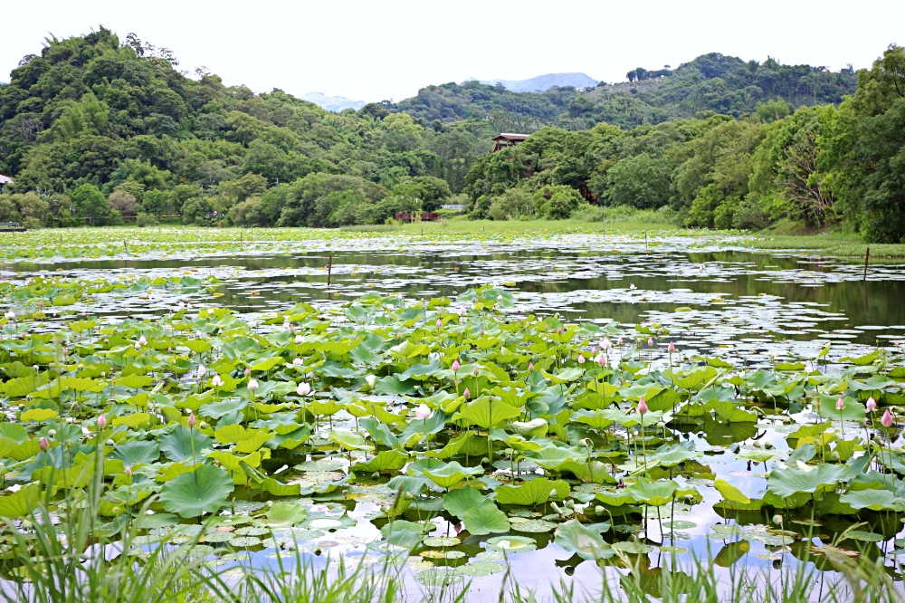 漫遊台中山城 新社東勢石岡谷關 美食景點深入玩