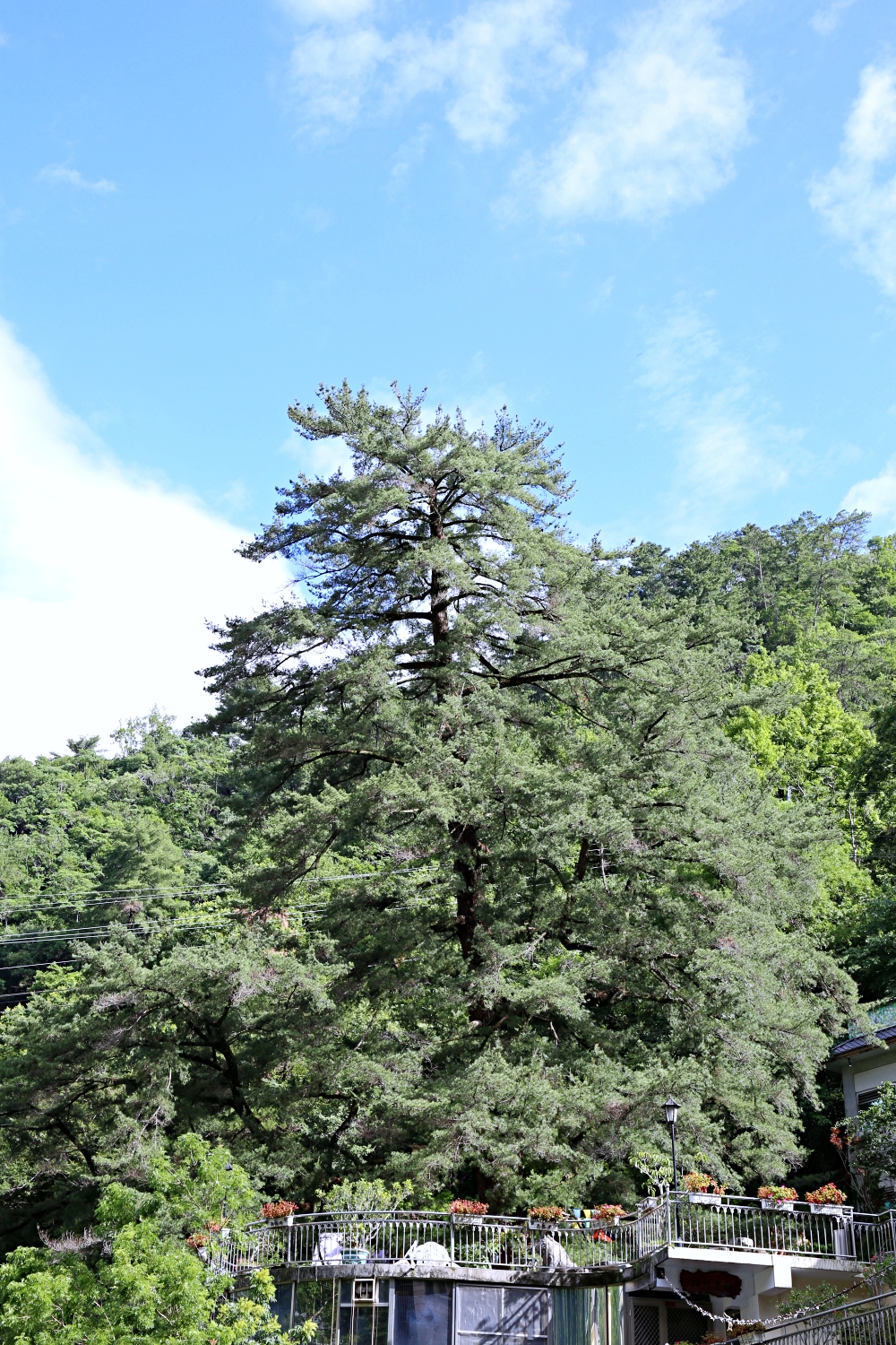 漫遊台中山城 新社東勢石岡谷關 美食景點深入玩