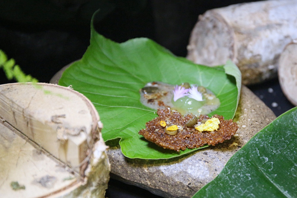 芾飲食實驗室 在森林中尋覓食材 創造自然互動情境 讓吃飯變得更有趣