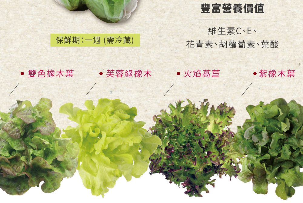 NICE GREEn美蔬菜 只需洗手不需洗菜 即食生菜清甜鮮嫩 適合溫沙拉、綠拿鐵