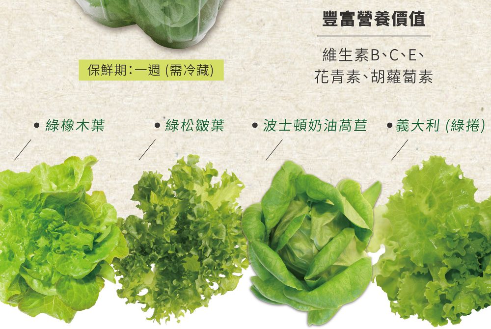 NICE GREEn美蔬菜 只需洗手不需洗菜 即食生菜清甜鮮嫩 適合溫沙拉、綠拿鐵