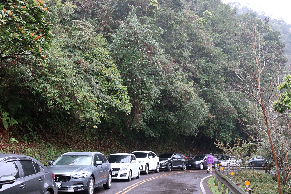 福山植物園 來場和野生動物不期而遇的清新約會吧！宜蘭森林生態秘境