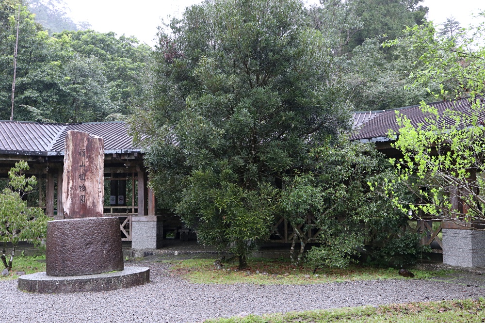 福山植物園 來場和野生動物不期而遇的清新約會吧！宜蘭森林生態秘境