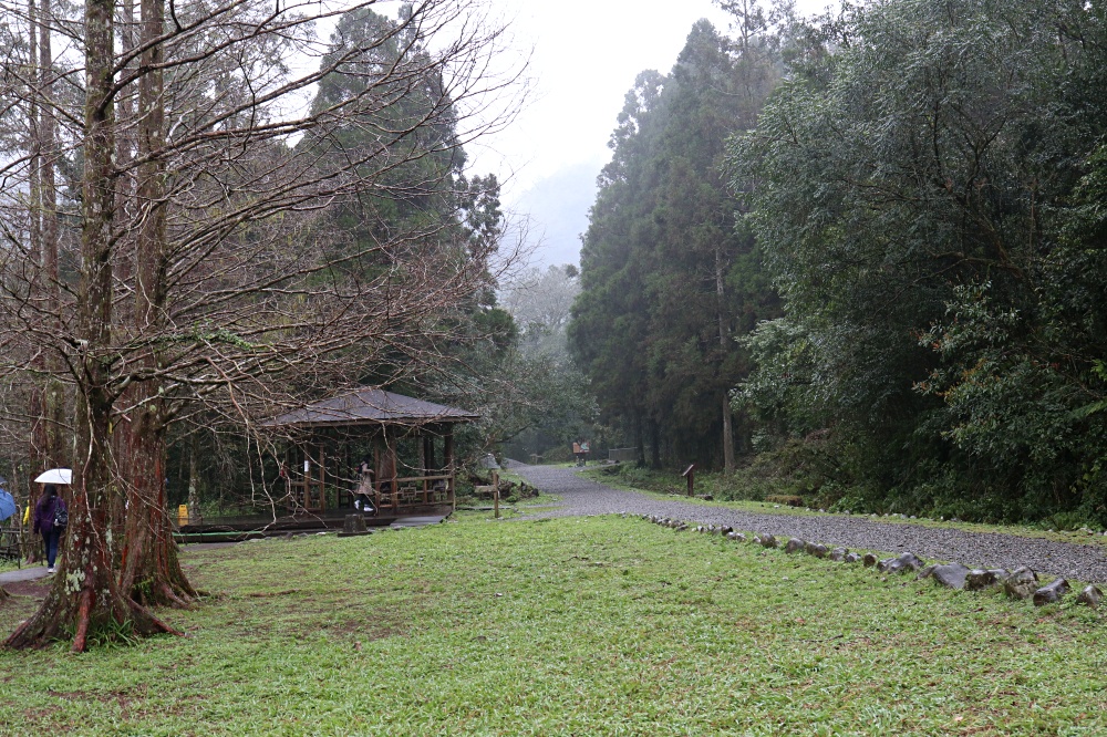 福山植物園 來場和野生動物不期而遇的清新約會吧！宜蘭森林生態秘境