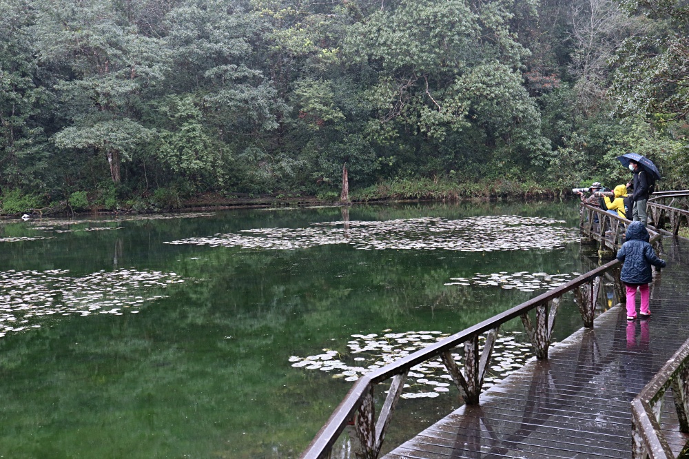 福山植物園 來場和野生動物不期而遇的清新約會吧！宜蘭森林生態秘境