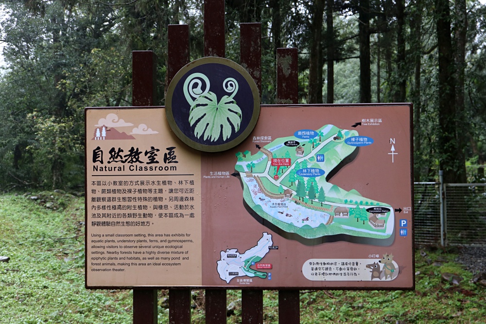 福山植物園 來場和野生動物不期而遇的清新約會吧！宜蘭森林生態秘境