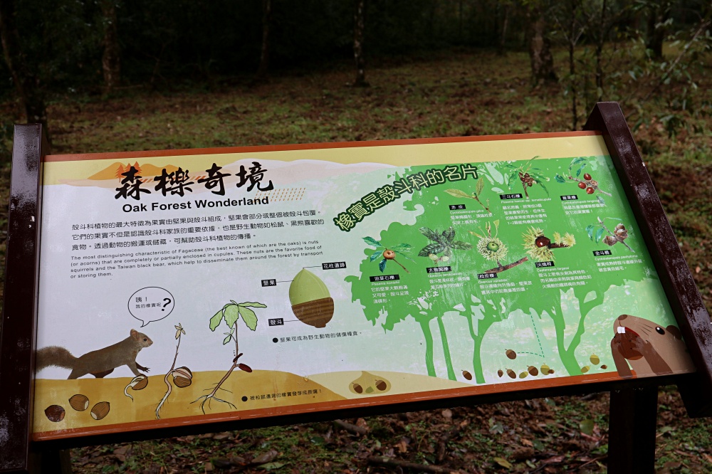 福山植物園 來場和野生動物不期而遇的清新約會吧！宜蘭森林生態秘境