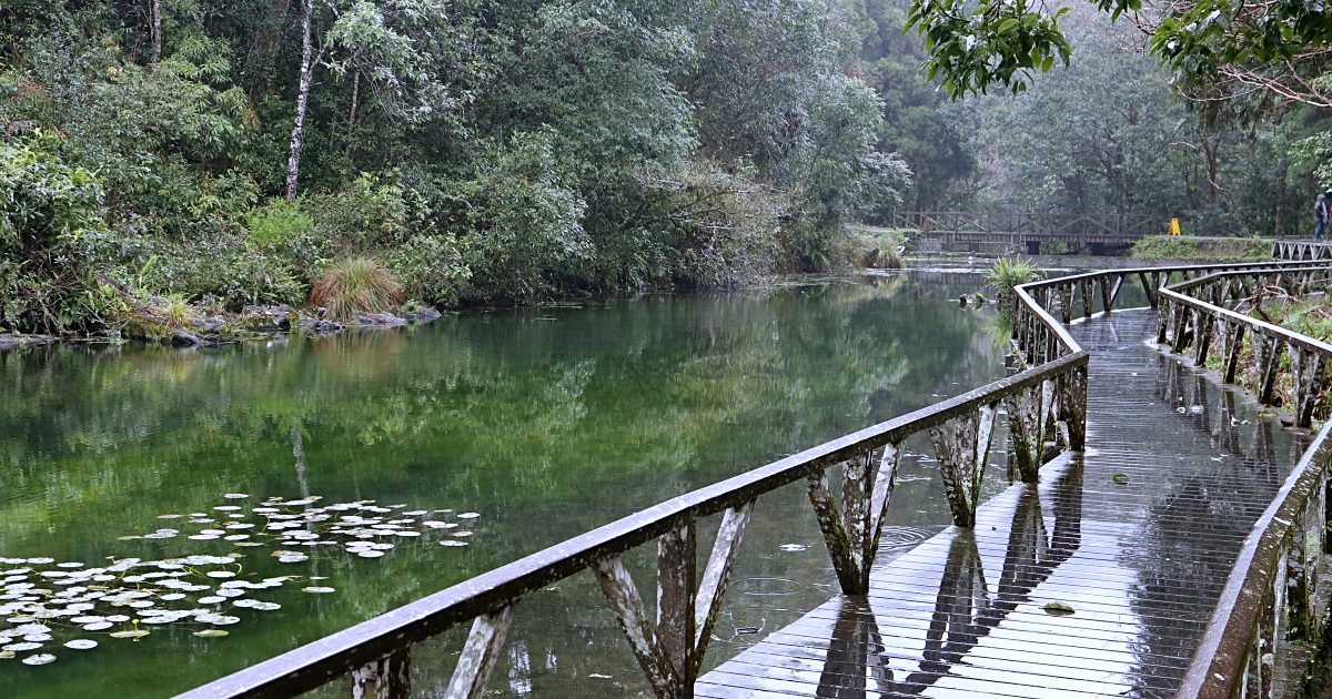 福山植物園 來場和野生動物不期而遇的清新約會吧！宜蘭森林生態秘境