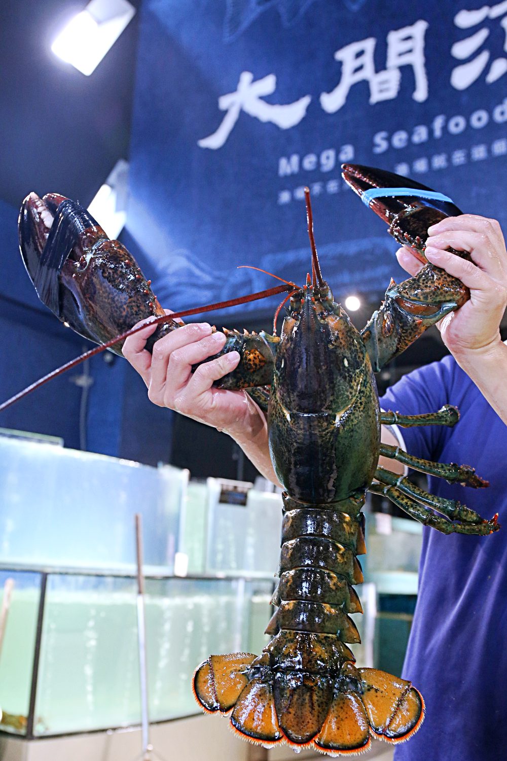 大間漁場 來活海鮮批發吃海陸鴛鴦鍋有青又划算 明治冰淇淋吃到飽