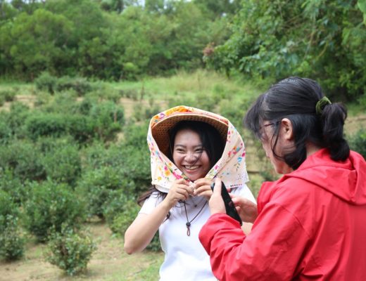 來墾丁這麼玩就對了！採港口茶 黑豆腐DIY 漫步白榕園 港口村生態旅遊好精彩