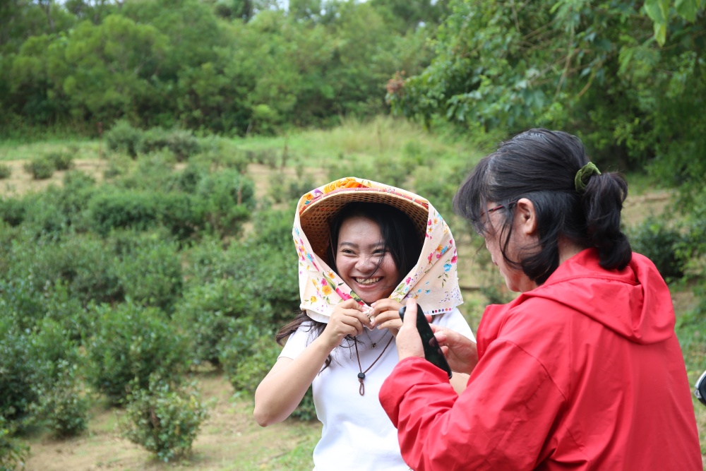 來墾丁這麼玩就對了！採港口茶 黑豆腐DIY 漫步白榕園 港口村生態旅遊好精彩