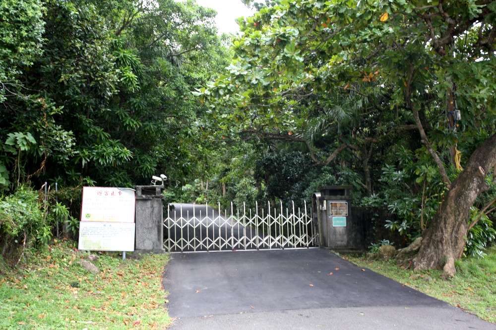 來墾丁這麼玩就對了！採港口茶 黑豆腐DIY 漫步白榕園 港口村生態旅遊好精彩