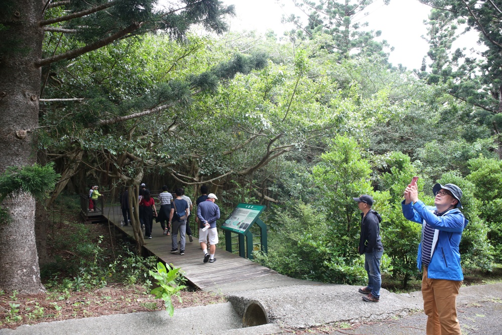 來墾丁這麼玩就對了！採港口茶 黑豆腐DIY 漫步白榕園 港口村生態旅遊好精彩