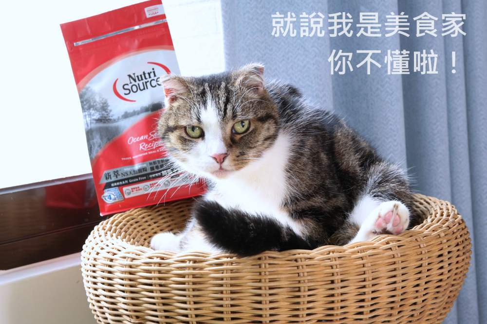 新萃 NutriSource 天然寵糧 NS經典鮮肉 DFA星級&WDJ雙推薦無穀貓飼料 無FDA召回紀錄！