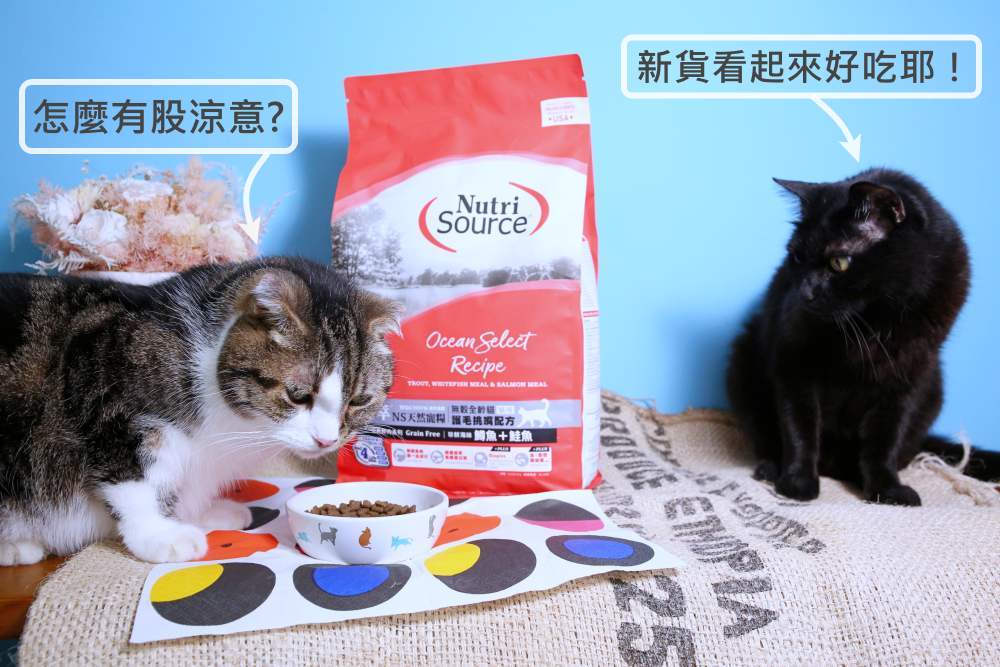 新萃 NutriSource 天然寵糧 NS經典鮮肉 DFA星級&WDJ雙推薦無穀貓飼料 無FDA召回紀錄！