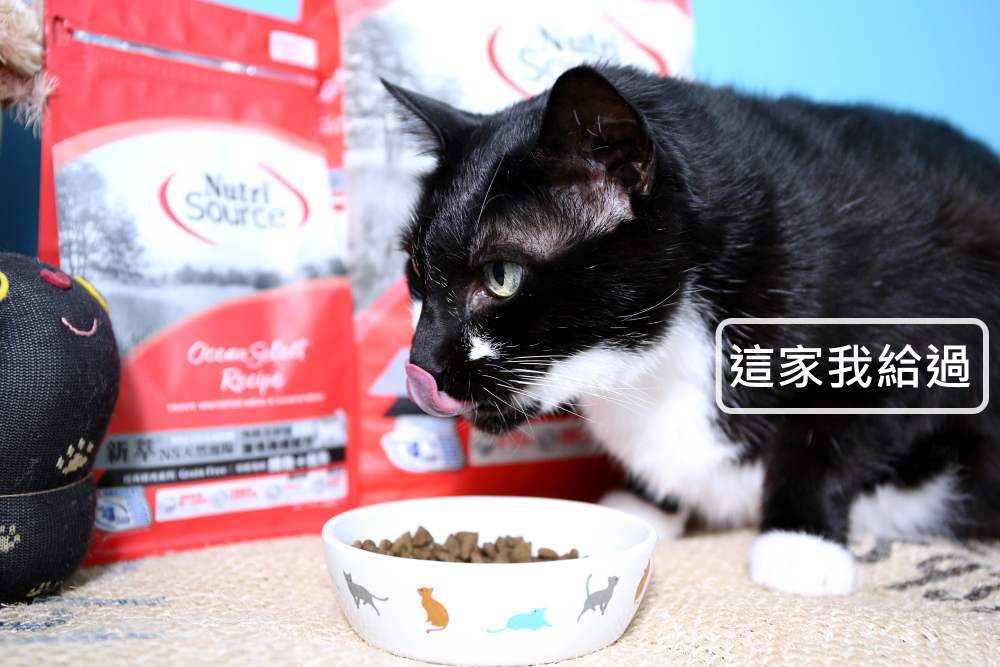 新萃 NutriSource 天然寵糧 NS經典鮮肉 DFA星級&WDJ雙推薦無穀貓飼料 無FDA召回紀錄！