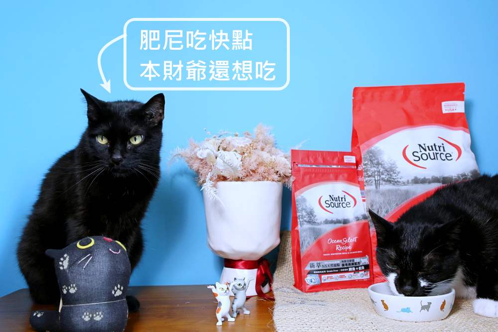 新萃 NutriSource 天然寵糧 NS經典鮮肉 DFA星級&WDJ雙推薦無穀貓飼料 無FDA召回紀錄！