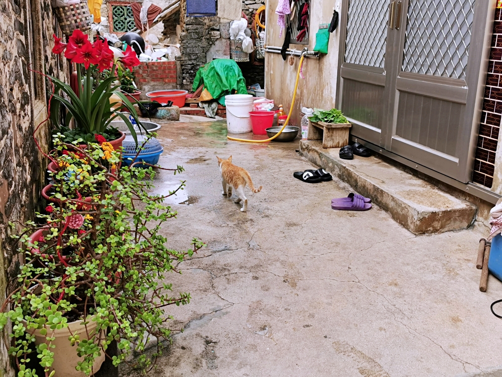 吉貝美食全收錄 | 吉貝在地人吃的早餐、小吃、餐廳，還有必買吉貝伴手禮