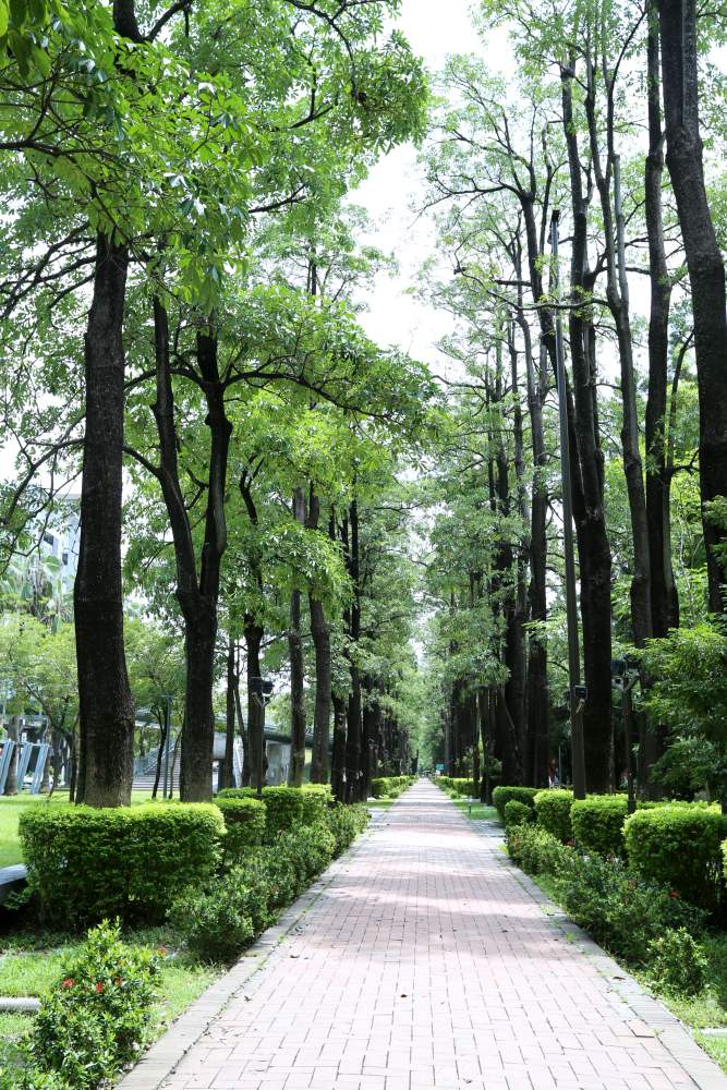 台中南區漫步散策 2大夜市好好逛，樹仁公園隱藏版巷弄美食好神秘