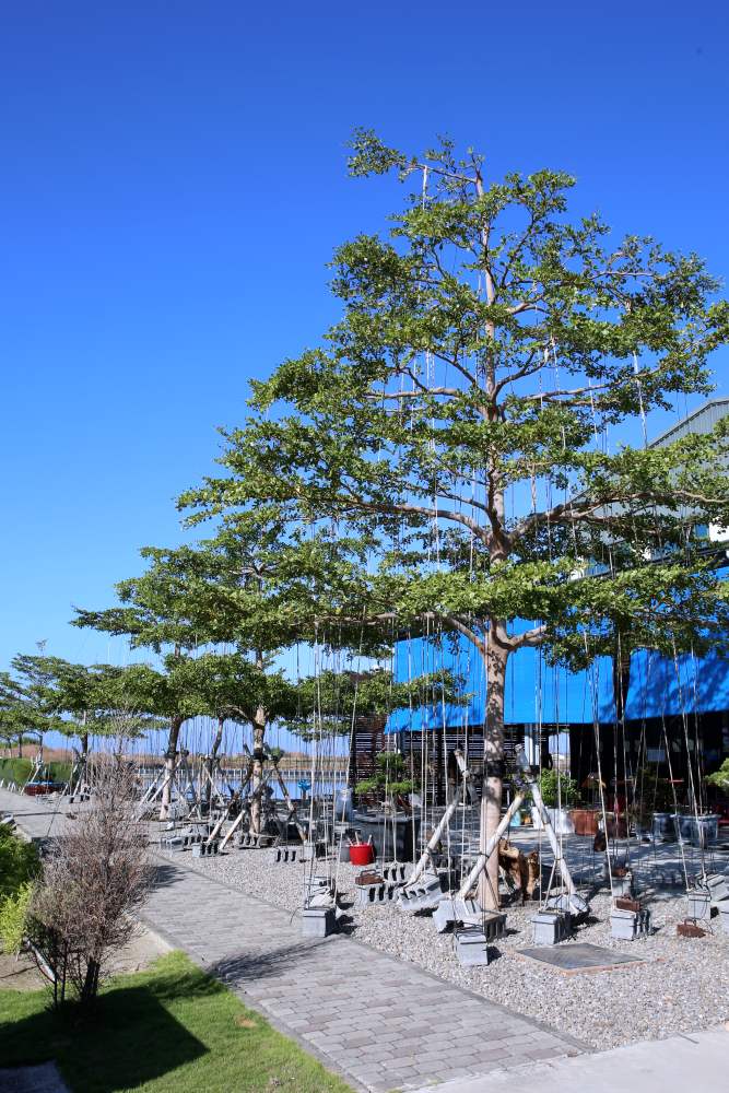 台南七股冬季限定小旅行-魚見嬌客 秘點賞黑琵+友善養殖海鮮大餐 半日深度遊發現台灣好美